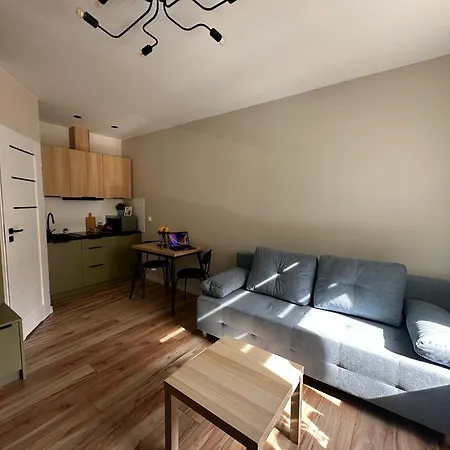 Your Elegance Apartamento Cracovia